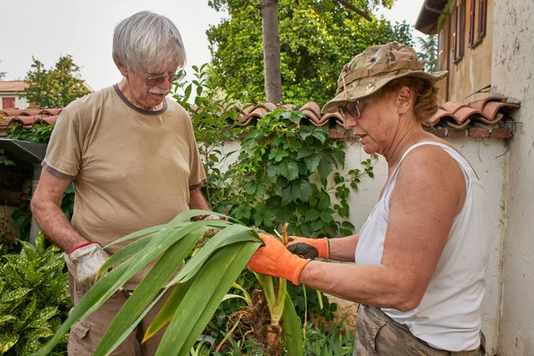 Idősek együtt dolgoznak a kertben, segítik egymást. — Stock Fotó
