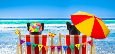 köpek dinlenme ve yaz tatil tatil günlerinde beach okyanus sahilinde şemsiyesi altında bir hamak ya da plaj sandalye üzerinde rahatlatıcı yeni evli
