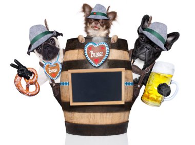 Grup veya takım gingerbread ve varil, arkasında beyaz arka planda, Münih'te bira kutlama Festivali için hazır izole şapka ile Bavyera Alman köpekler
