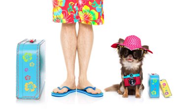 Chihuahua köpek ve sahibi hazır Bagaj ile yaz tatile gitmek ve flip floplar izole üzerinde beyaz arka plan