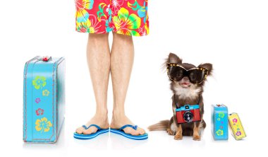 Chihuahua köpek ve sahibi hazır Bagaj ile yaz tatile gitmek ve flip floplar izole üzerinde beyaz arka plan