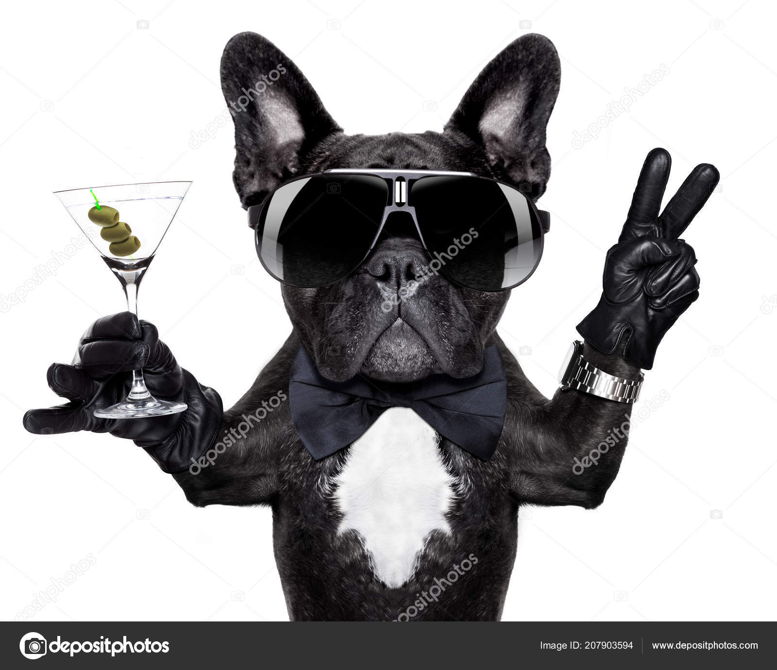 Bulldog Anniversaire Images Libres De Droit Photos De Bulldog Anniversaire Depositphotos Bulldog Anniversaire Images Libres De Droit Photos De Bulldog Anniversaire Depositphotos