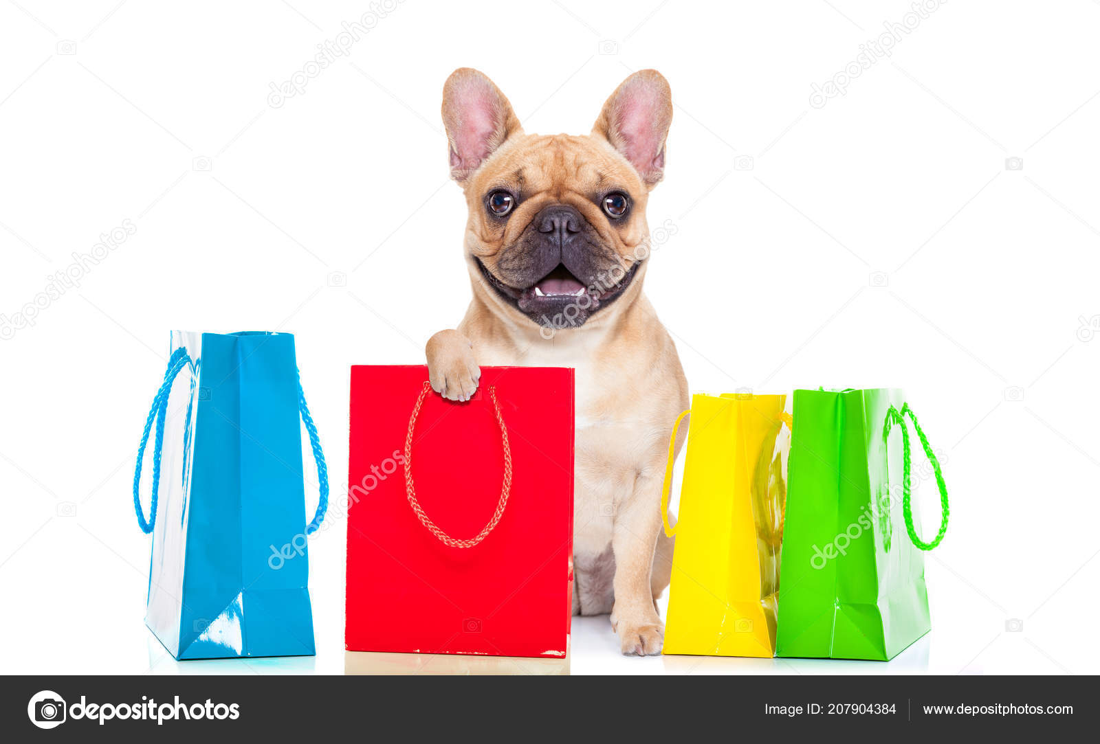 French bulldog shopping hotsell