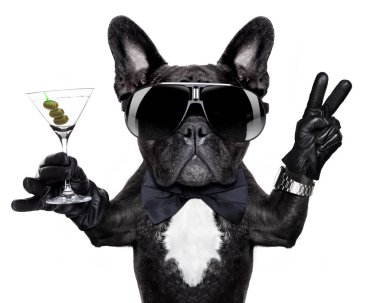 martini kokteyl ve zafer ya da barış parmak bir retro bilek saati ile Fransız bulldog köpek