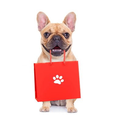 Alışveriş torbaları ile Fransız bulldog indirim ve satış için hazır, beyaz arka planda izole