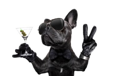 martini kokteyl ve zafer ya da barış parmak bir retro bilek saati ile Fransız bulldog köpek