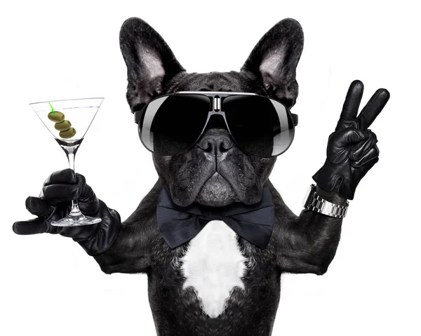 Franse Bulldog Hond Met Martini Cocktail Overwinning Vrede Vingers Het — Stockfoto