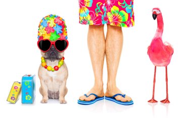 köpek ve birbirine yakın, okyanus kıyı ile Eşcinsel bir pembe flamingo yakın yaz tatil tatil günlerinde sahilde oturan sahibi