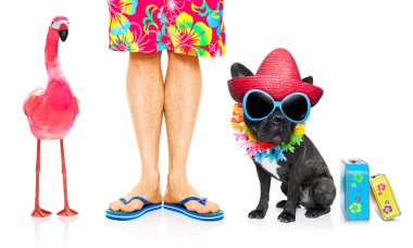 köpek ve birbirine yakın, okyanus kıyı ile Eşcinsel bir pembe flamingo yakın yaz tatil tatil günlerinde sahilde oturan sahibi