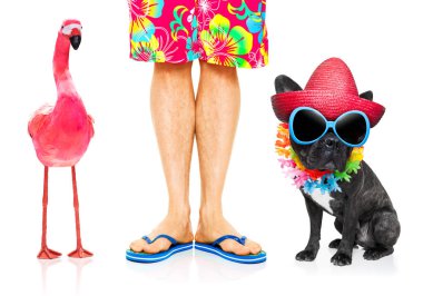 köpek ve sahibi yaz tatil tatiller ve eşcinsel bir pembe flamingo, gitmeye hazır beyaz izole