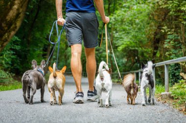 Grup köpek sahibi ve kira kontratı bir yürüyüş veya radyoları, açık havada dışarıda parkta gitmeye hazır