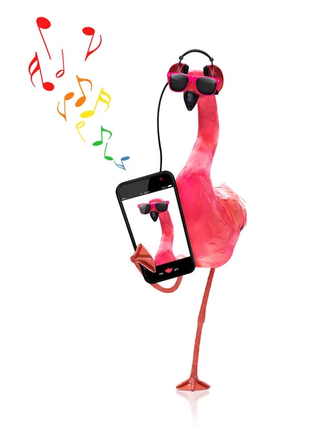 Cool Roze Homo Flamingo Luisteren Zingen Naar Muziek Met Koptelefoon — Stockfoto