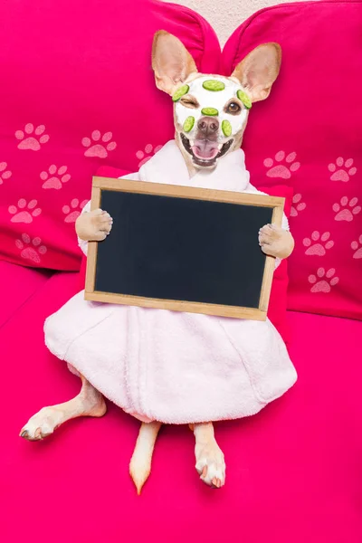 ウェルネス センターの美容マスクでリラックス 保湿クリームとキュウリ バナー プラカードを持って高級バスローブを着たチワワ犬 — ストック写真