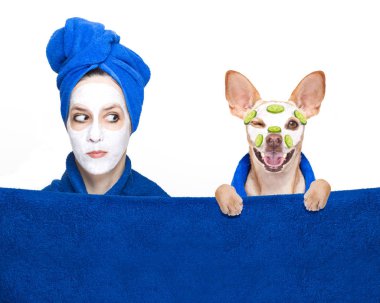 Genç kadın veya kız ile chihuahua köpek sağlık tedavi, beyaz arka plan üzerinde izole ile yüz Güzellik yüz krem maske ile