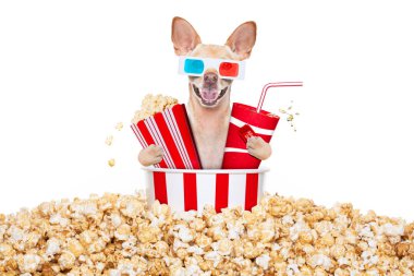 soda ve gözlük ve patlamış mısır ve beyaz arka plan üzerinde izole biletleri ile sinemaya gidiş chihuahua köpek