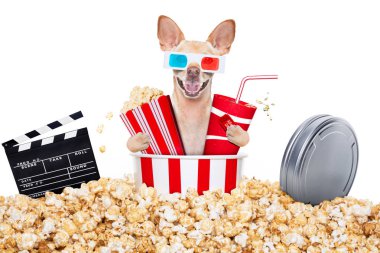 soda ve gözlük ve patlamış mısır ve beyaz arka plan üzerinde izole biletleri ile sinemaya gidiş chihuahua köpek