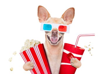 soda ve gözlük ve patlamış mısır ve beyaz arka plan üzerinde izole biletleri ile sinemaya gidiş chihuahua köpek