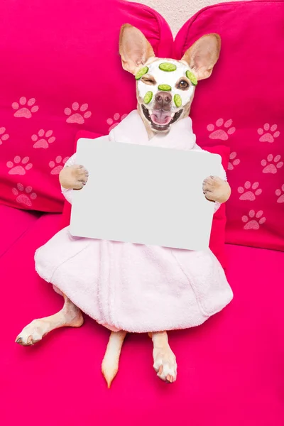 Chihuahua Dog Relaxing Beauty Mask Spa Wellness Center Moisturizing Cream — Stock Photo, Image