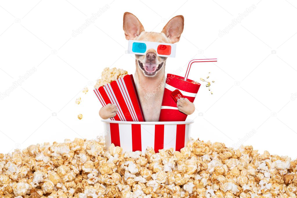 chihuahua dog going to the movies with soda and glasses and popcorn and tickets, isolated on white background
