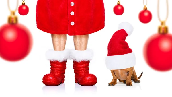Grappige Teckel Worst Santa Claus Hond Kerstvakantie Met Rode Vakantiehoed — Stockfoto