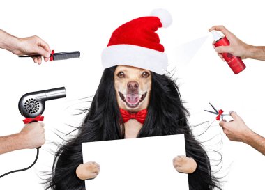 Kuaför köpek tarak, güzel görmeye hazır makas, kurutma makinesi ve çok uzun saçlı beyaz arka plan üzerinde Noel santa claus şapka ile izole sağlık spa salon sprey