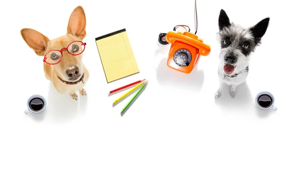 一对办公室工作人员商人狗与电话 电话记事本 查出在白色背景 — 图库照片