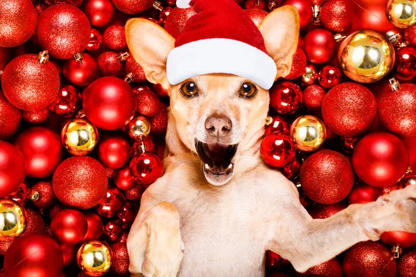 クリスマス ギフトやプレゼント ボックス クリスマス ボール背景として スマート フォン 携帯電話 電話で Selfie — ストック写真