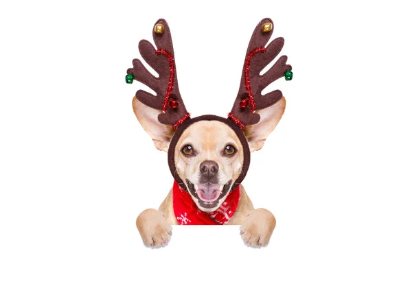 Natale Babbo Natale Cane Renna Con Stivali Babbo Natale Rosso — Foto Stock