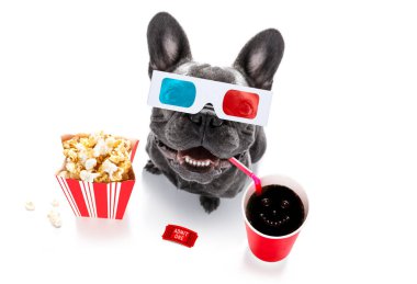 köpek film