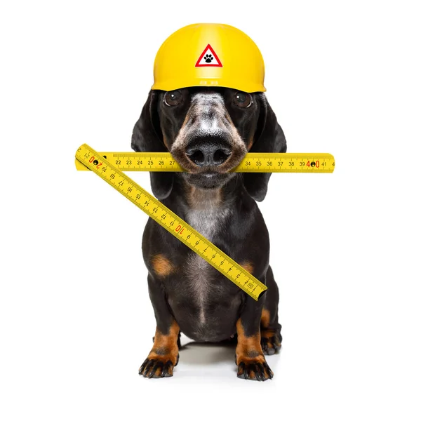 Handyman cão martelo com capacete — Fotografia de Stock