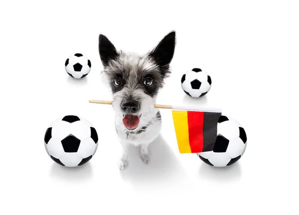 Piłka nożna Piłka nożna pies — Zdjęcie stockowe