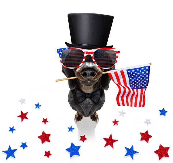 День Незалежності 4 липня собака — стокове фото
