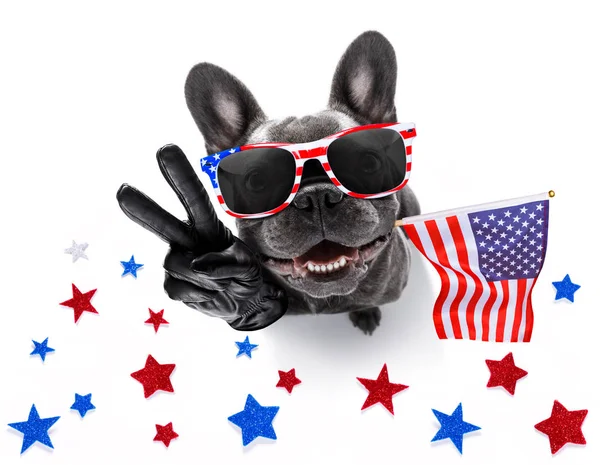 Día de independencia 4 de julio perro — Foto de Stock