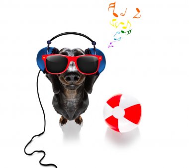 yaz tatil tatil köpek