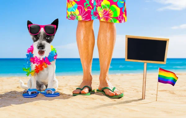 Gay orgulho cão e proprietário no verão férias — Fotografia de Stock