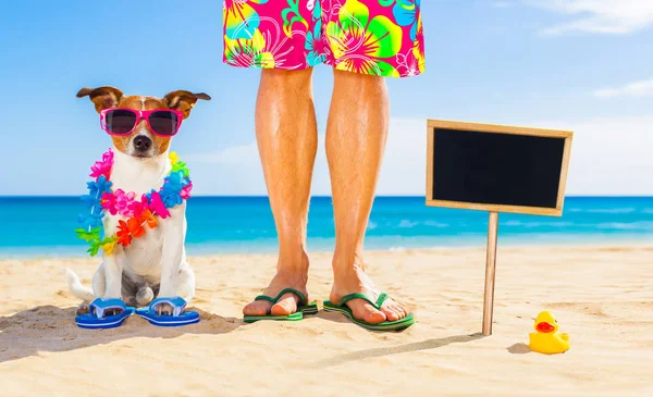 Hond en eigenaar zomer vakantie — Stockfoto