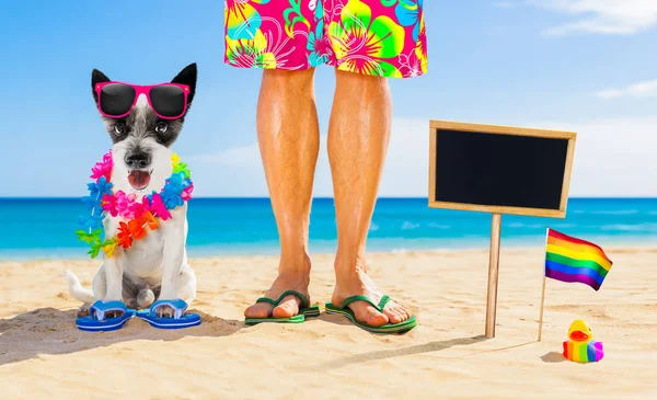 Gay orgulho cão e proprietário no verão férias — Fotografia de Stock