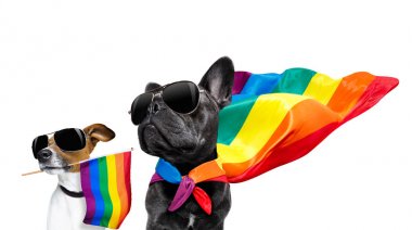 gay gurur köpekler