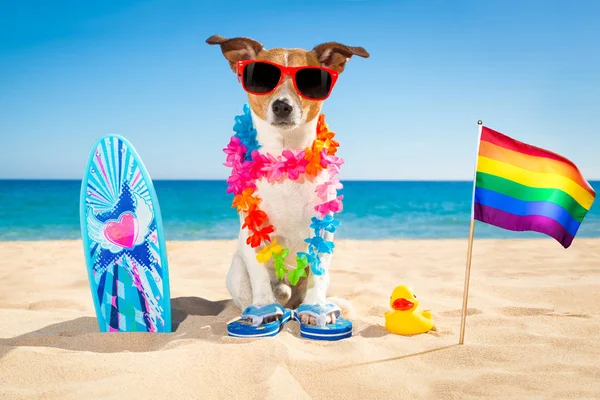 Hundestrand für Surfer — Stockfoto