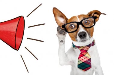 köpek telefon