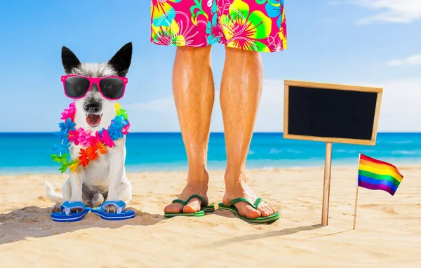 夏休みのゲイプライド犬と所有者 — ストック写真