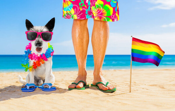 gay pride dog and owner on   summer holidays