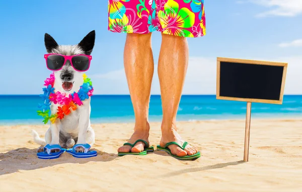 Собака і власник літні канікули — стокове фото