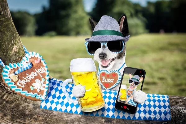 Beierse bier hond — Stockfoto
