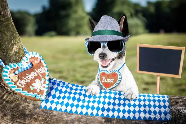 Bavarian beer dog — Stock Photo, Image