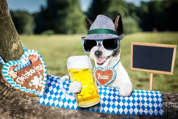 バイエルンのビールの犬 — ストック写真