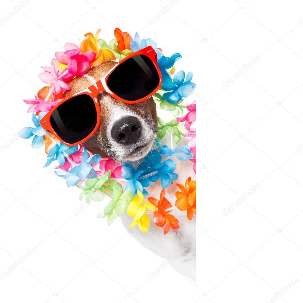funny dog  hawaiian  lei and sunglasses