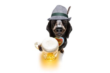 Bavyera bira dachshund sosis köpek 