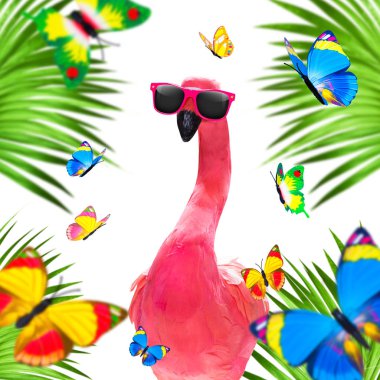 Yaz tatili flamingosu