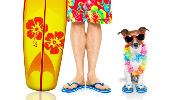 Zwei im Sommerurlaub, Hund und Herrchen surfen — Stockfoto